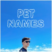 Pet Names artwork