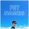 Pet Names artwork