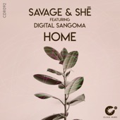 Home (feat. Digital Sangoma) artwork