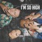 I'm So High (feat. Tamera & Toddla T) - p-rallel lyrics