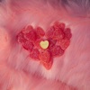 Your Love - Single