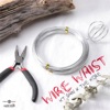 Wire Waist - Single, 2023