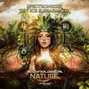 Technological Nature - Single