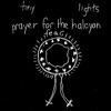 Prayer for the Halcyon Fear