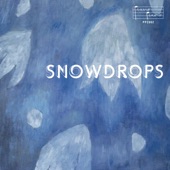 Snowdrops artwork