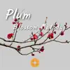 Chinese Music, Plum Blossom Melody album lyrics, reviews, download