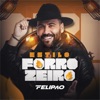 Estilo Forrozeiro - Single