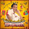 Currambero Beta 2022 (Mosaico) - Single