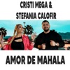 Amor de mahala (feat. Stefania Calofir) - Single