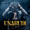 Unarudi Lini - Single