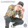 Clandestino