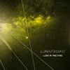 Lost In the Fire - Single