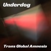 Trans Global Amnesia