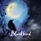 The Hound + The Fox - Blackbird