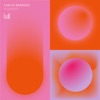 Segments - Single