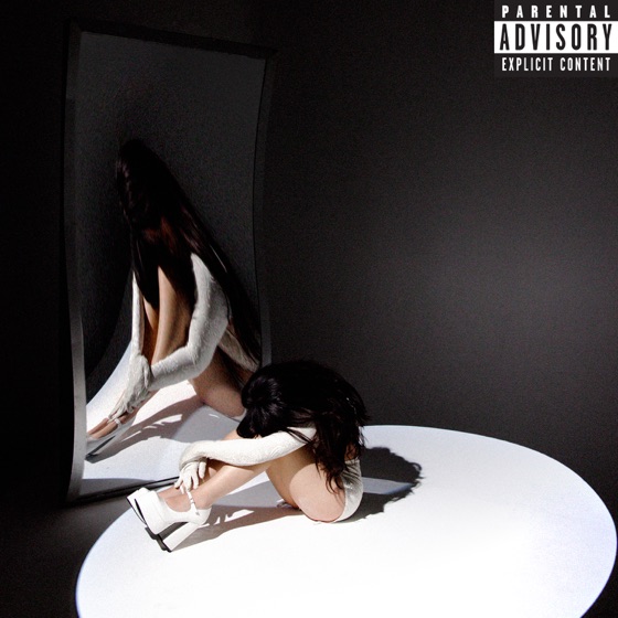 Cover artwork for dying on the inside