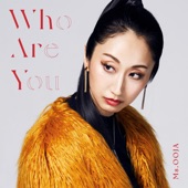 Who Are You artwork