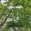 Take Night - Single album lyrics, reviews, download