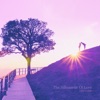 Love Flow - How Much I Love You