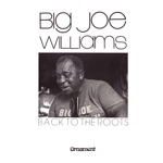 Big Joe Williams - Bull Cow Blues