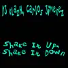 Stream & download Shake It Up, Shake It Down - Single