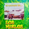 El Encanto de Los Mirlos, 1986