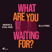 Nenor - What Are You Waiting For?