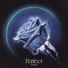 Perfect - Single