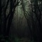 Orvel - Marko Kacanski lyrics