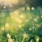 Even Now - AKIKA lyrics