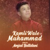 Kamli Wale Muhammad - Single