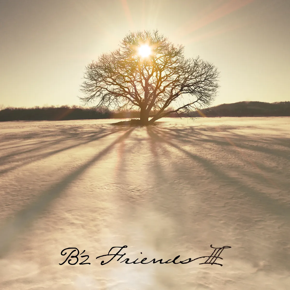 B'z - FRIENDS Ⅲ (2021) [iTunes Plus AAC M4A]-新房子