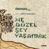 Ne Güzel Şey Yaşamak (feat. Güzin Değişmez) artwork