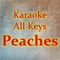 Peaches - Karaoke All Keys lyrics