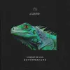 Supernature (Radio Edit) - Single album lyrics, reviews, download