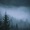 Simply Worship/Diana Trout/Austin Ludwig - O Holy Night