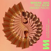 Where Are You Now (Kungs Remix) artwork