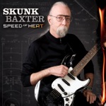 Skunk Baxter - Ladies From Hell