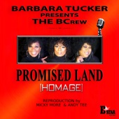 The BCrew - Promised Land (Homage) (Micky Moore & Andy Tee Club Mix)