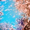 Asagao - Paradis lyrics