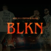 B.L.K.N. (feat. Panter & Gliga) artwork