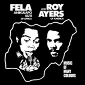 Fela Kuti - Africa Centre Of The World (feat. Roy Ayers)