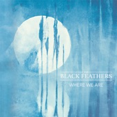 The Black Feathers - Dreams With You