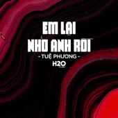 Em Lại Nhớ Anh Rồi Remix (Deep House) artwork