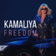 FREEDOM cover art