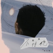 不怪他 (feat. 棉花糖) artwork