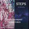 Steps - Single