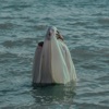 Past Life - Single