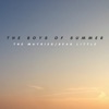 The Boys of Summer - Single