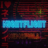 Night Flight artwork